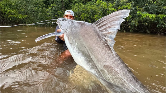 kiT PIRAIBA Vara Suprema 150 LBS e Carretilha TSS4000