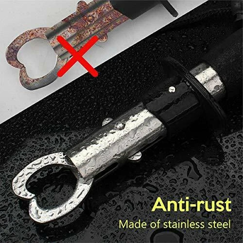 Garra de ferro steel