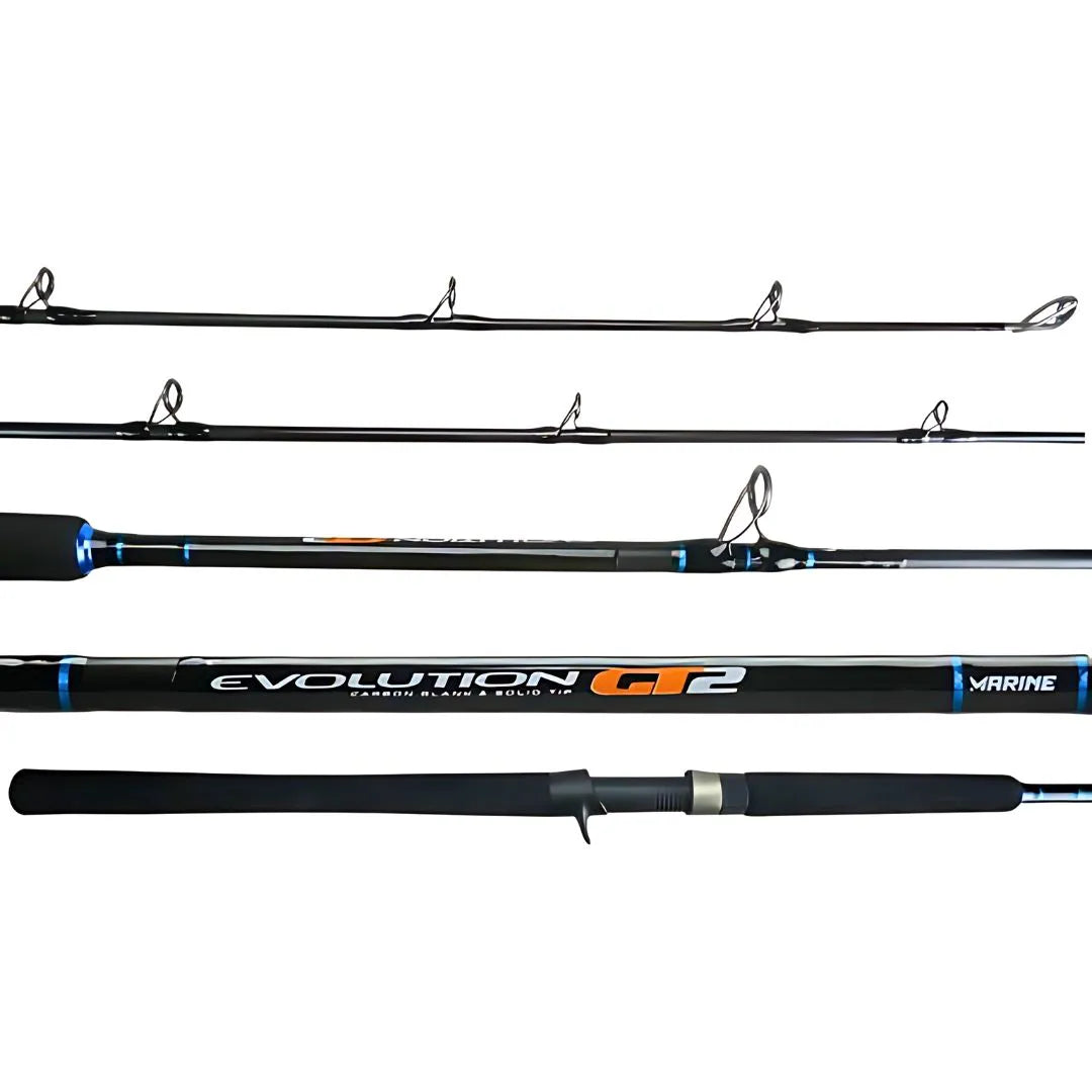 Vara evolution GT2 - 1,98 - 20-50lbs